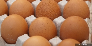 Bagaimana Cara Memilih Telur yang Baik?